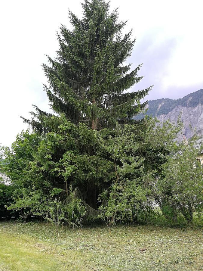 Sport'Hotel - Residence De Milan Le Bourg-dʼOisans Dış mekan fotoğraf